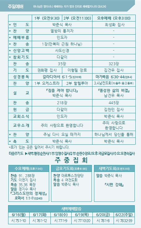 2025년 6월 15일 주보